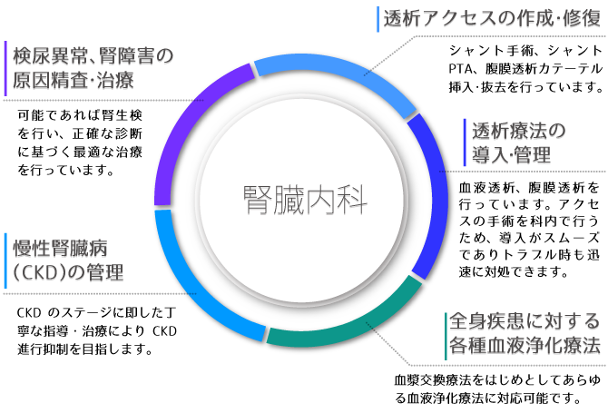 腎臓内科5つの柱の図解