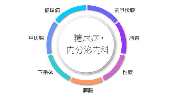 糖尿病・内分泌内科7つの特徴の図解